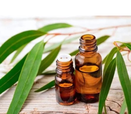 Eucalyptus Oil Balm Manufacturing Business Plan in Tamil