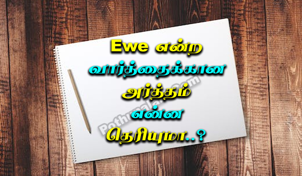 Ewe Meaning in Tamil