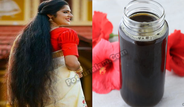 Hair Growth Tips at Home Naturally in Tamil