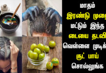 How to Change White Hair to Black Hair Naturally in Tamil