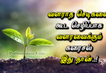 Liquid Fertilizer For Growing Plants in Tamil