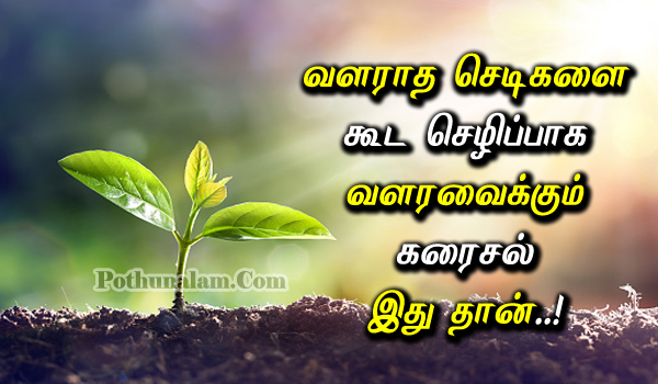Liquid Fertilizer For Growing Plants in Tamil