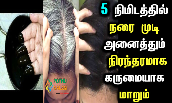 Natural Home Made Hair Dye in Tamil
