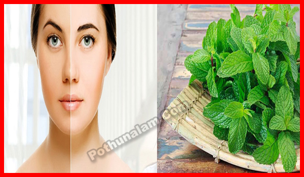 Natural Home Remedy for Face Whitening in Tamil