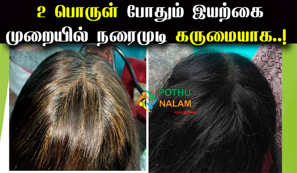 Natural hair dye in tamil