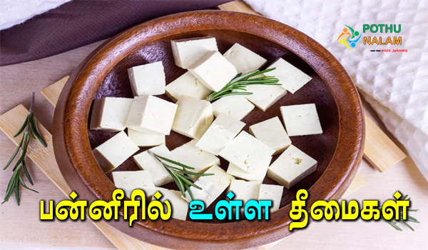 Paneer Side Effects in Tamil
