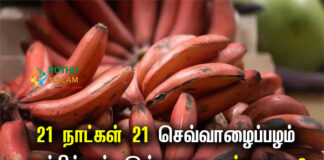 Red Banana Benefits in Tamil