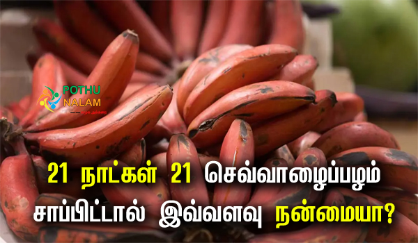 Red Banana Benefits in Tamil