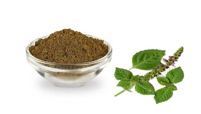Tulsi Tea Powder Manufacturing Business in Tamil