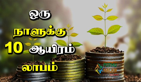Vadagam Business Business in Tamil
