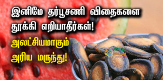 Watermelon Seeds Benefits in Tamil