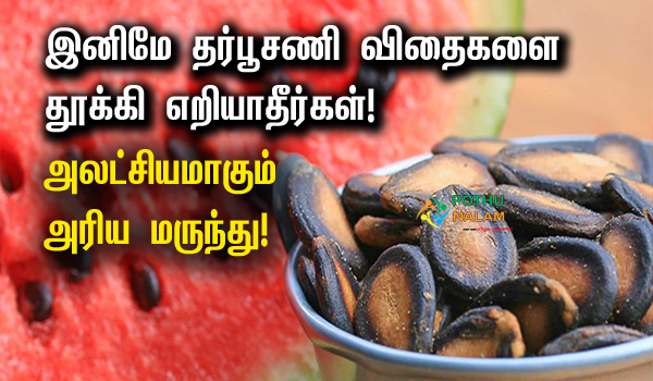 Watermelon Seeds Benefits in Tamil