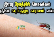 What Causes Mosquitoes to Bite More at Night Only in Tamil