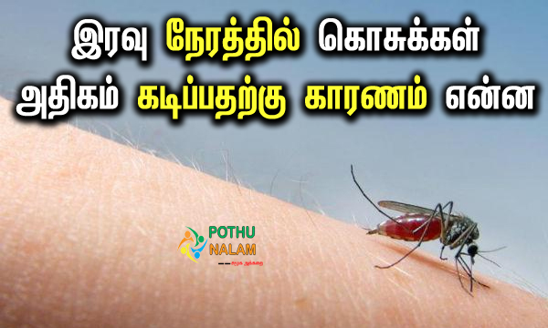 What Causes Mosquitoes to Bite More at Night Only in Tamil