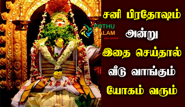 What To Do On Shani Pradosham in Tamil
