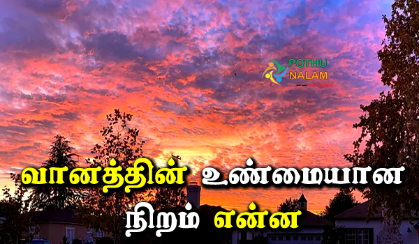 What is The True Color Of The Sky in Tamil