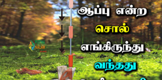 aappu meaning in tamil