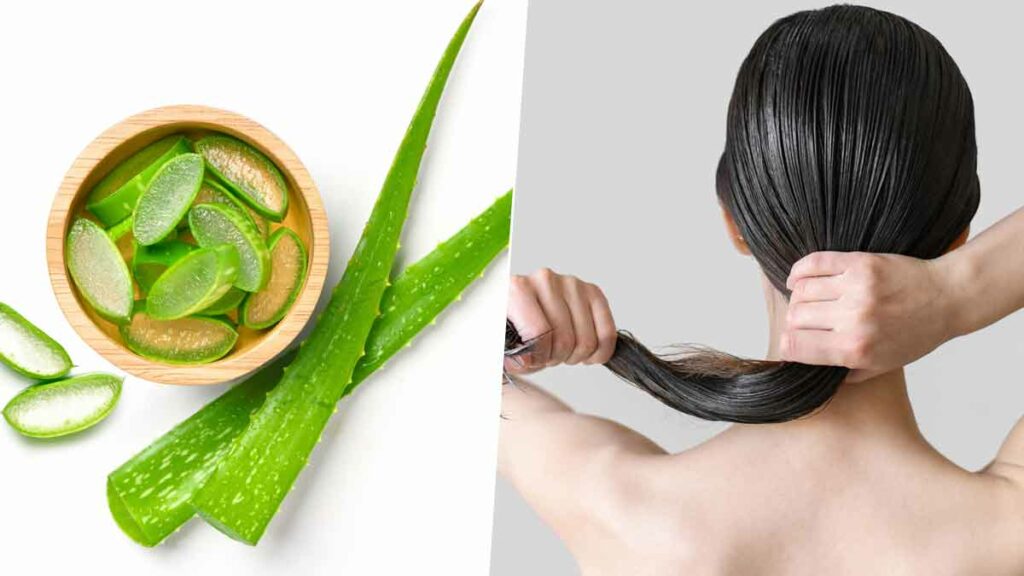  aloe vera gel for hair growth in tamil