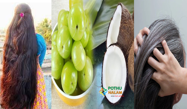 coconut oil and amla powder for white hair in tamil