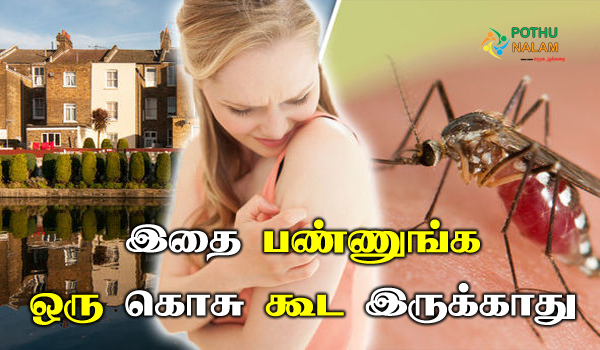 homemade mosquito killer in tamil