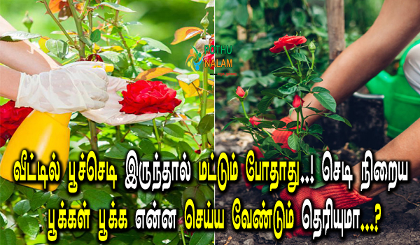 how to grow flowers faster in tamil