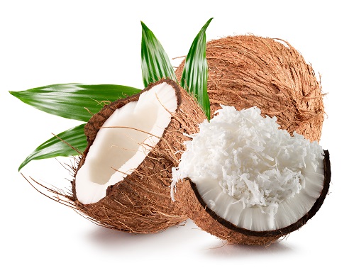 how to start coconut business in tamil 