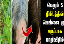 how to use curry leaves for grey hair in tamil