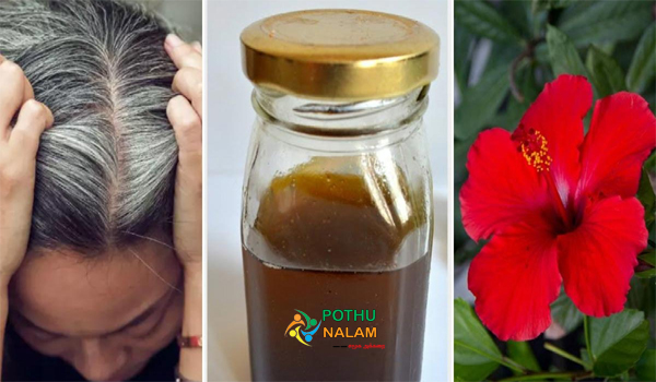 how to use hibiscus for grey hair in tamil