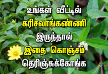 karisalankanni multipurpose in tamil