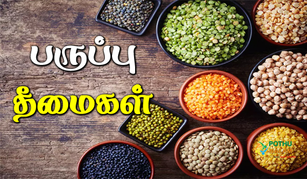 lentils benefits and side effects in tamil