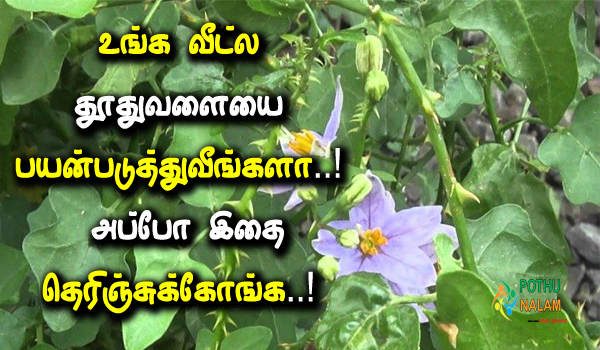 thuthuvalai multi purpose in tamil