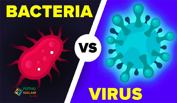 virus vs bacteria difference in tamil