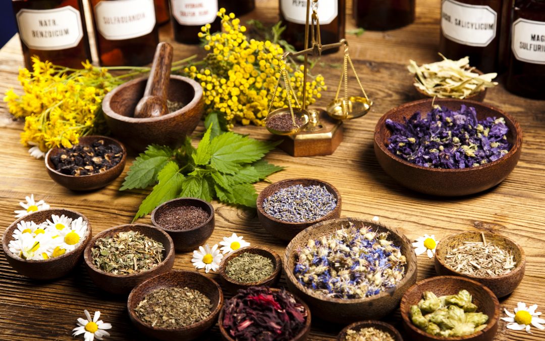 Ayurveda Business Ideas in Tamil