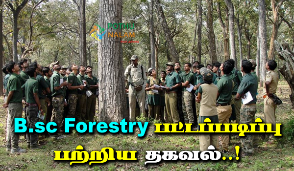 B.sc Forestry Course Details in Tamil