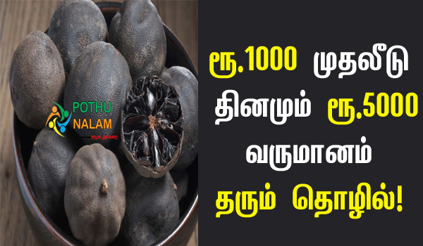 Black Lemon Business in Tamil