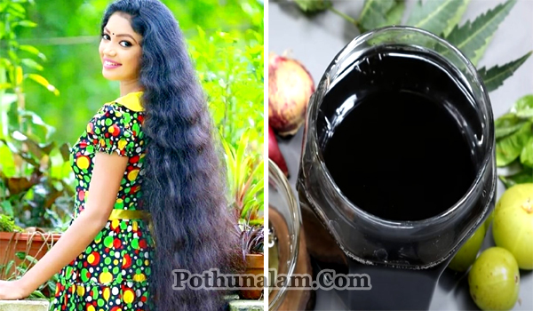 Grow Hair Longer Natural Oil At Home in Tamil