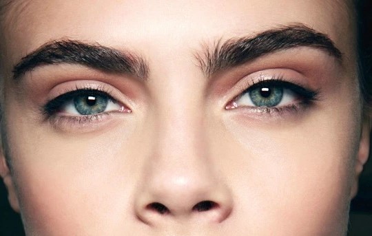 How to get Thick Eyebrows Naturally in Tamil