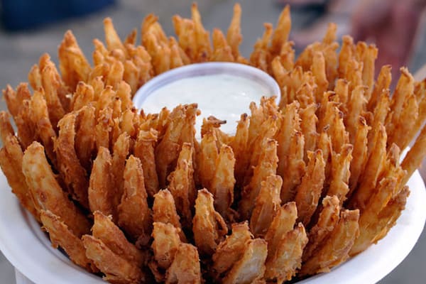 Onion Blossom Fries Making Business Plan Tamil