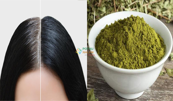 Tips for Gray Hair to Black Hair Naturally at Home in Tamil