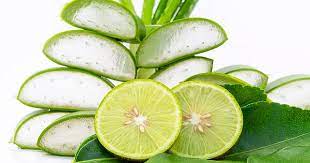 homemade aloe vera face pack for glowing skin in tamil