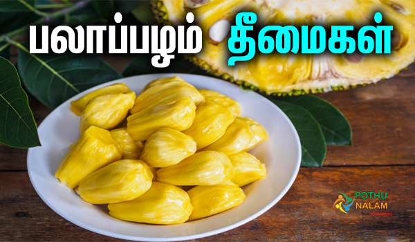 jackfruit side effects in tamil