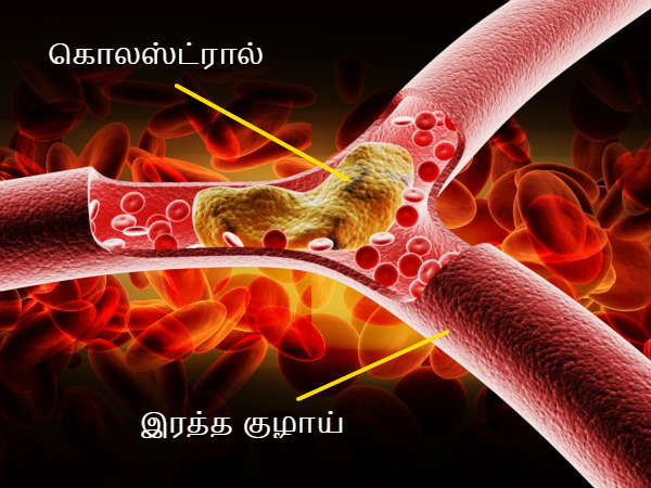 Alfalfa Health Benefits in Tamil
