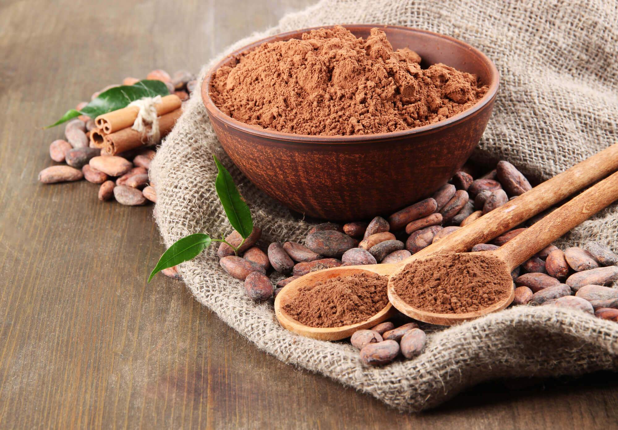 Cocoa Powder Making Business Plan in Tamil