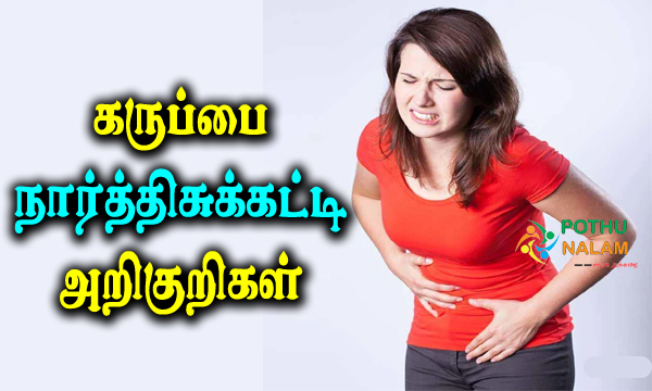 Fibroid Uterus Symptoms in Tamil