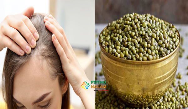 Homemade Hair Mask for Hair Growth in Tamil