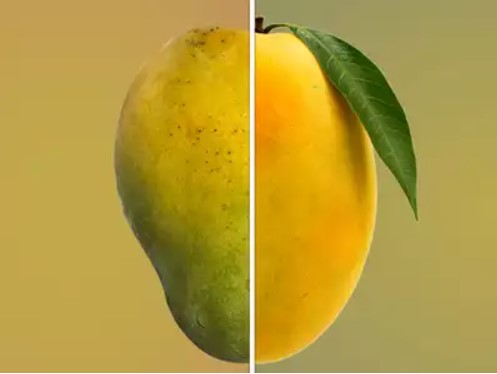 How to Identify Chemically Ripe Mango