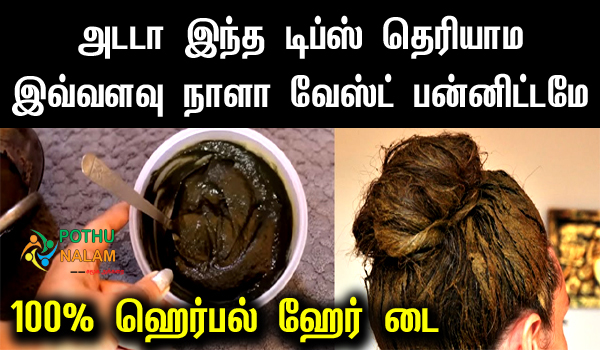 How to Prepare Natural Hair Dye at Home in Tamil
