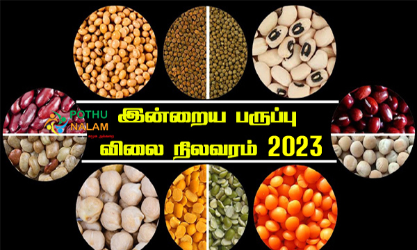  Paruppu Price List in Tamil 2023