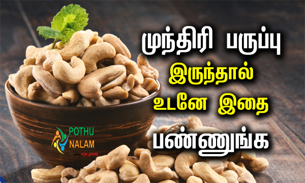Tips to Keep Cashew Nuts From Spoiling in Tamil