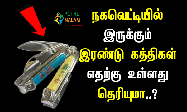 What is The Reason There Are 2 Blades in A Nail Clipper in Tamil 